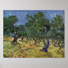 Vincent van Gogh - Olive Grove Poster