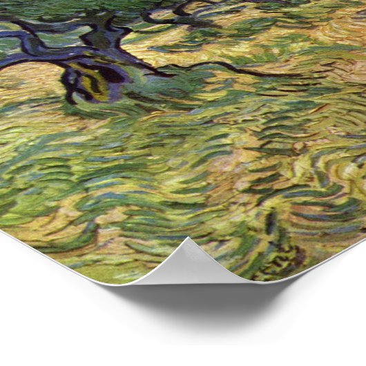 Vincent van Gogh - Olive Grove Poster (Ecke)