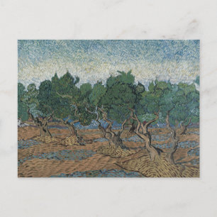 Vincent van Gogh - Olive Grove Postkarte