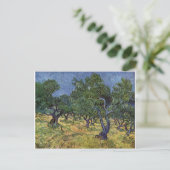 Vincent van Gogh - Olive Grove Postkarte (Stehend Vorderseite)
