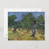 Vincent van Gogh - Olive Grove Postkarte (Vorne/Hinten)