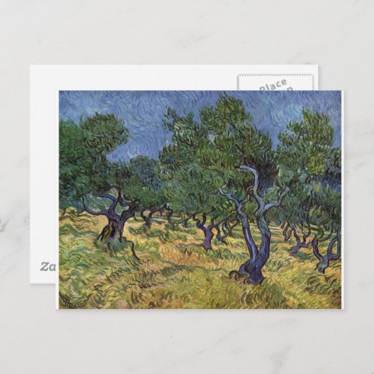 Vincent van Gogh - Olive Grove Postkarte (Vorne/Hinten)