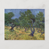 Vincent van Gogh - Olive Grove Postkarte (Vorderseite)
