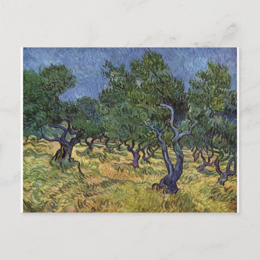 Vincent van Gogh - Olive Grove Postkarte (Vorderseite)