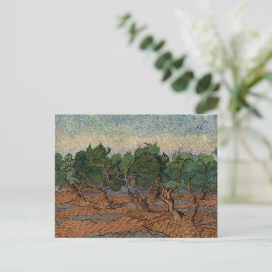 Vincent van Gogh - Olive Grove Postkarte (Stehend Vorderseite)