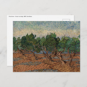 Vincent van Gogh - Olive Grove Postkarte
