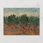 Vincent van Gogh - Olive Grove Postkarte (Vorderseite)