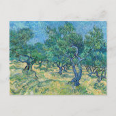 Vincent van Gogh - Olive Grove Postkarte (Vorderseite)