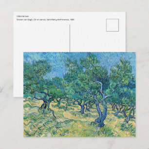 Vincent van Gogh - Olive Grove Postkarte