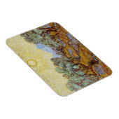 Vincent van Gogh Olive Trees, 1889 Magnet (Rechte Seite)