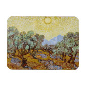 Vincent van Gogh Olive Trees, 1889 Magnet (Horizontal)