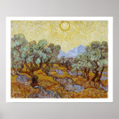 Vincent van Gogh Olive Trees, 1889 Poster (Vorne)