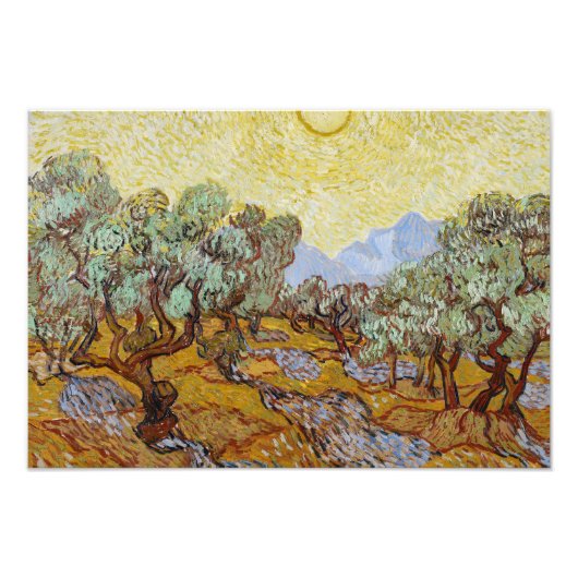 Vincent van Gogh - Olivenbäume Fotodruck (Vorne)