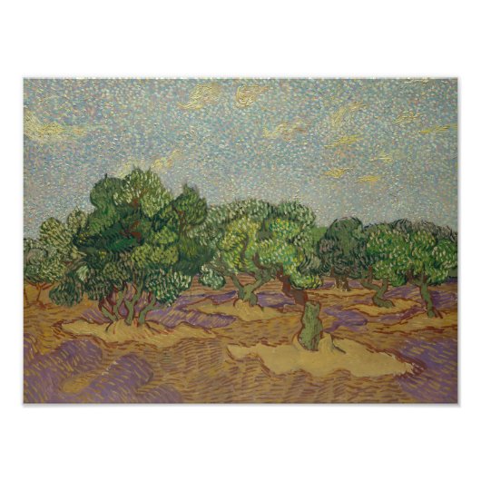 Vincent van Gogh - Olivenbäume Fotodruck (Vorne)