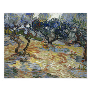 Vincent van Gogh - Olivenbäume Fotodruck