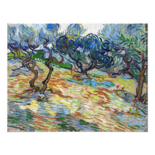Vincent van Gogh - Olivenbäume: Helles blaues Himm Fotodruck