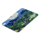 Vincent van Gogh - Olivenbäume mit den Alpen Magnet (Linke Seite)
