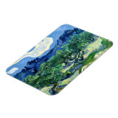 Vincent Van Gogh, Olivenbäume mit den Alpen Magnet (Linke Seite)