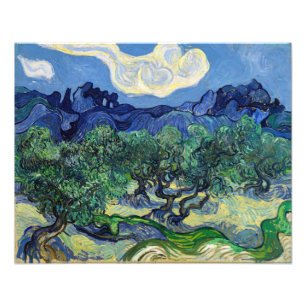 Vincent van Gogh - Olivenbäume mit den Alpilles Fotodruck