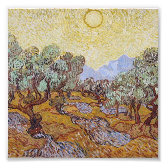 Vincent Van Gogh - Olivenbäume mit gelbem Himmel Fotodruck (Vorne)