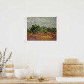 Vincent van Gogh - Olivenbäume Poster (Küche)