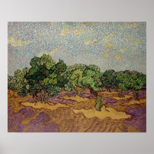Vincent van Gogh - Olivenbäume Poster (Vorne)