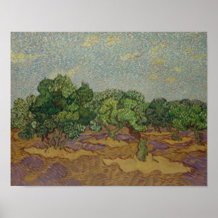 Vincent van Gogh - Olivenbäume Poster