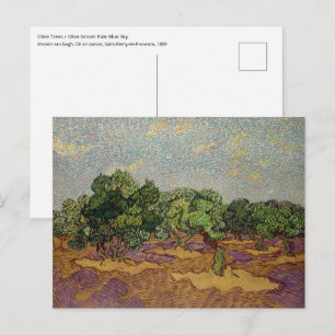 Vincent van Gogh - Olivenbäume Postkarte