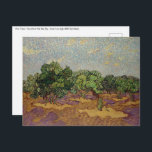 Vincent van Gogh - Olivenbäume Postkarte<br><div class="desc">Olivenbäume/Olivenhaine: Pale Blue Sky - Vincent van Gogh,  1889,  Saint-Remy</div>