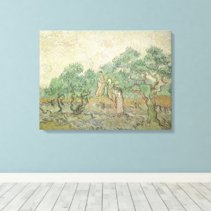 Vincent van Gogh - Olivenernte Leinwanddruck