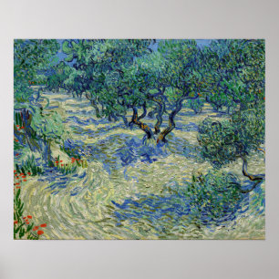 Vincent van Gogh - Olivenhain: Helles Blaues Himme Poster