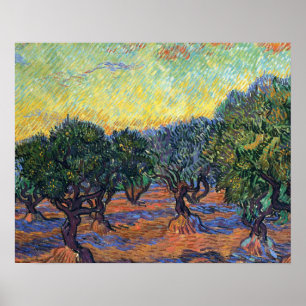 Vincent Van Gogh Olivenhain Impressionismus Kunst Poster
