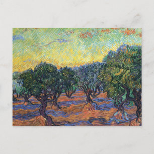 Vincent Van Gogh Olivenhain Impressionismus Kunst Postkarte