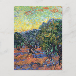 Vincent Van Gogh Olivenhain Impressionismus Kunst Postkarte