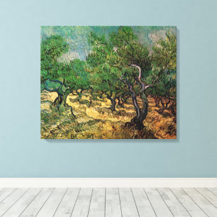 Vincent van Gogh - Olivenhain Leinwanddruck