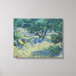 Vincent van Gogh - Olivenhain Leinwanddruck