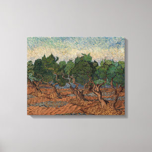 Vincent van Gogh - Olivenhain Leinwanddruck