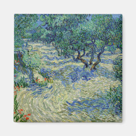 Vincent van Gogh - Olivenhain Magnet