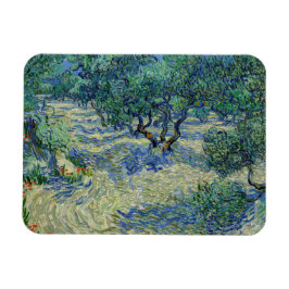 Vincent van Gogh - Olivenhain Magnet