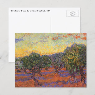 Vincent van Gogh - Olivenhain, orangener Himmel Postkarte
