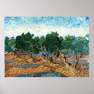 Vincent van Gogh - Olivenhain Poster