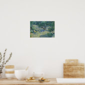 Vincent van Gogh - Olivenhain Poster (Küche)