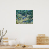 Vincent van Gogh - Olivenhain Poster (Küche)