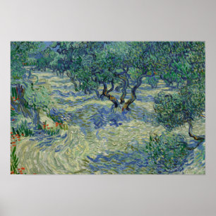 Vincent van Gogh - Olivenhain Poster