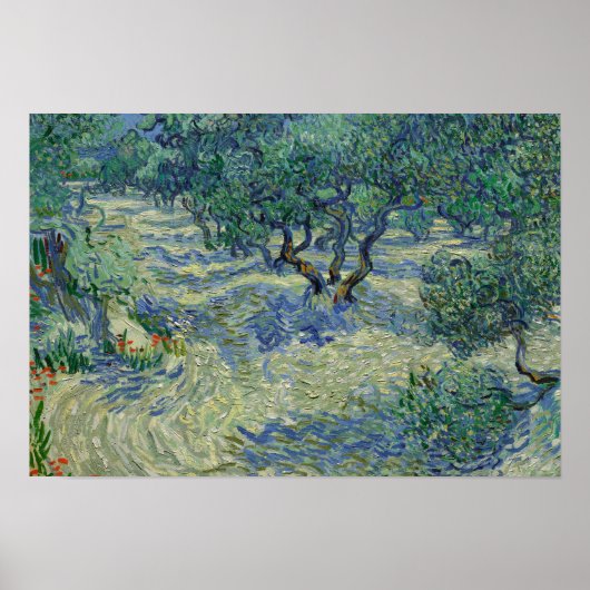 Vincent van Gogh - Olivenhain Poster (Vorne)