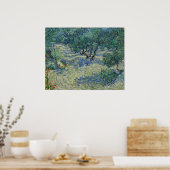 Vincent van Gogh - Olivenhain Poster (Küche)
