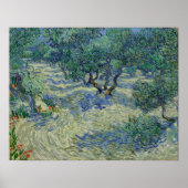 Vincent van Gogh - Olivenhain Poster (Vorne)
