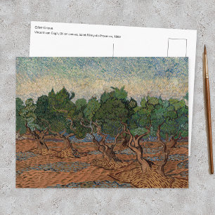 Vincent van Gogh - Olivenhain Postkarte