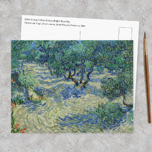 Vincent van Gogh - Olivenhain Postkarte