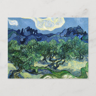 Vincent van Gogh Olivenhaine Postkarte | Atemberau